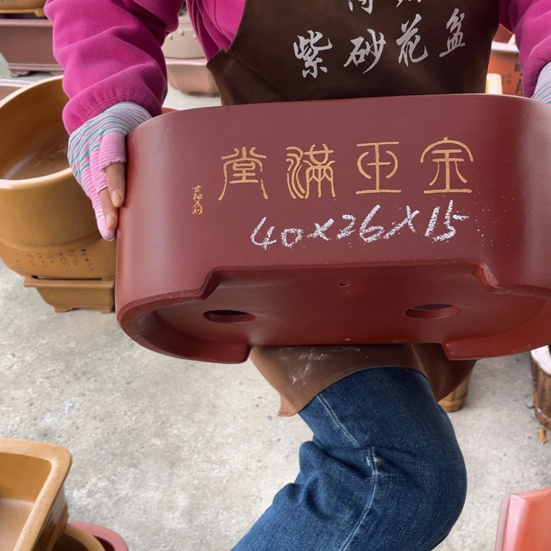 花盆紫砂盆景艺术