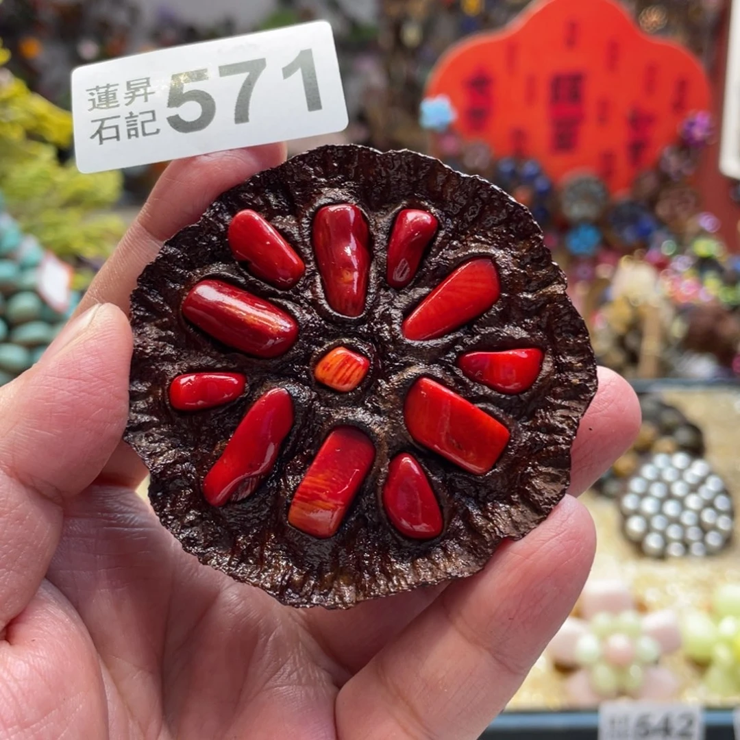核桃木/黑胡桃（胡桃木）571
