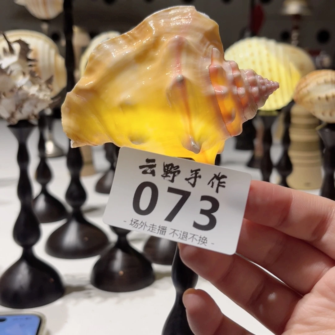 风**淡073哈哈哈哈哈哈哈哈哈