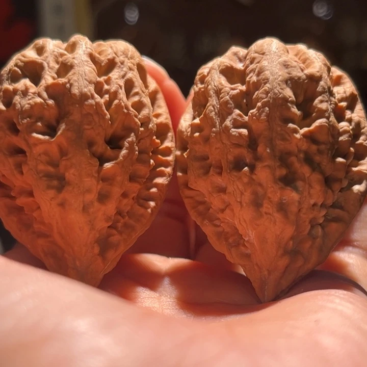 文玩核桃吊坠娇美楸63浮黄