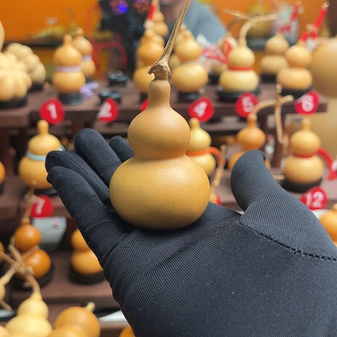 T****一物一拍葫芦文博