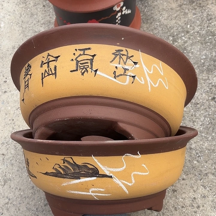 花盆紫砂紫砂的花
