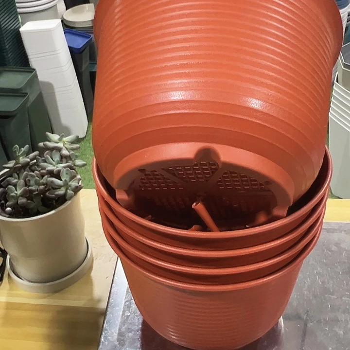 矮陶23口21高15陶红色5个无托