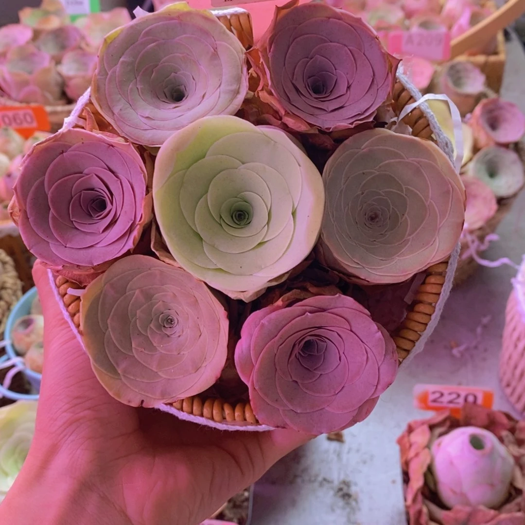 土****乐A309山地玫瑰一物一拍花篮