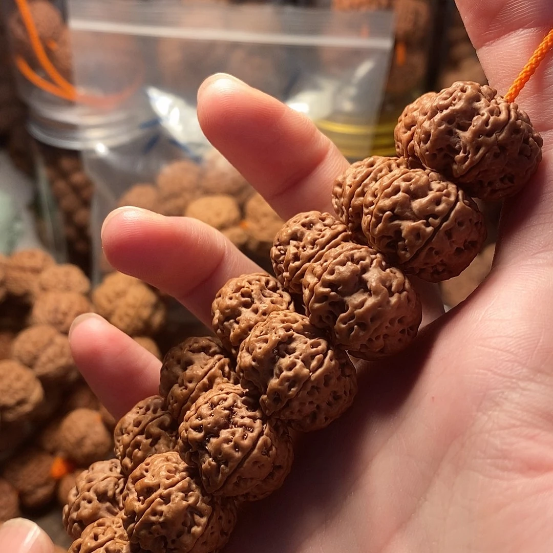 手串金刚菩提20龙爪梅花超头