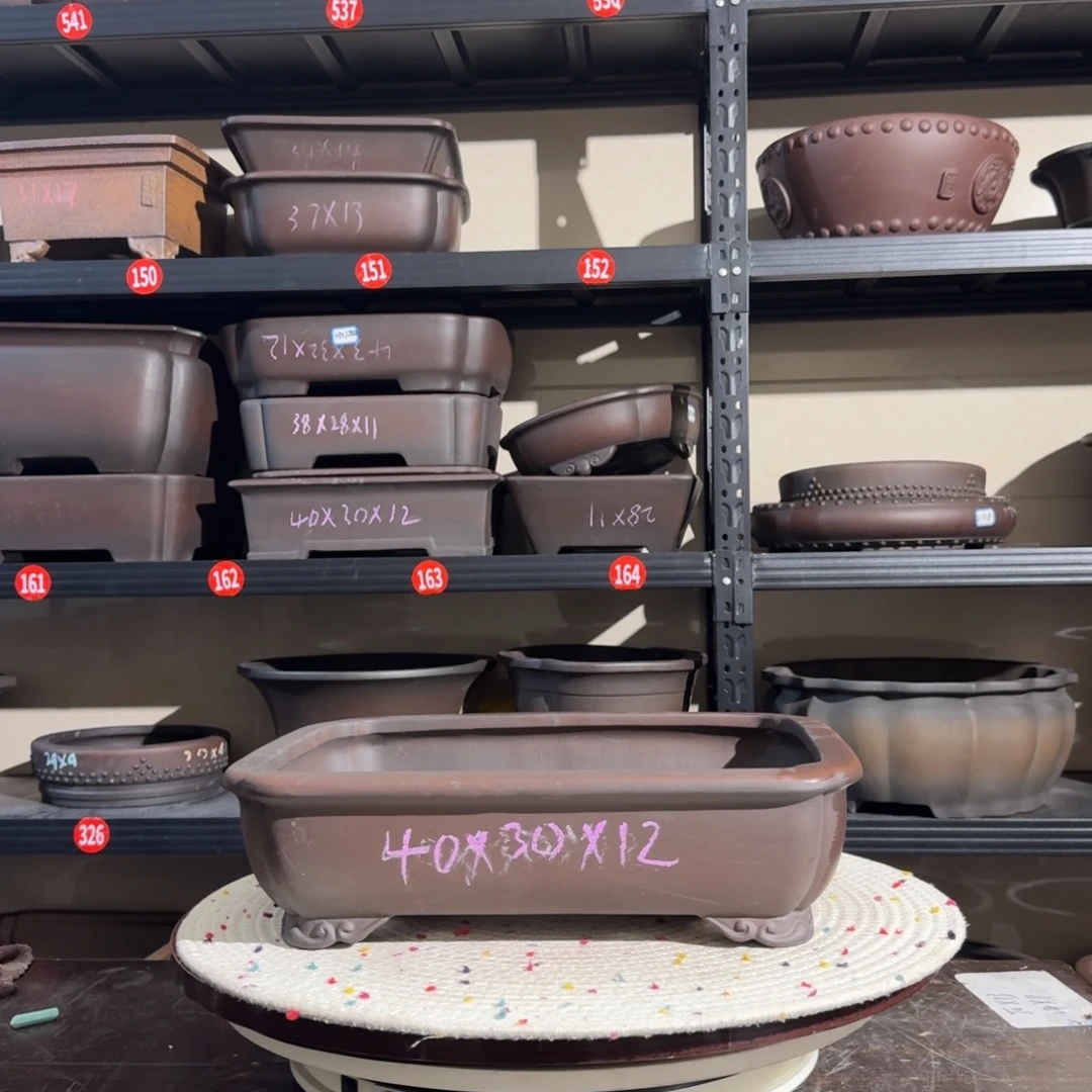 呜呜呜我的宝紫砂呜呜呜我的小