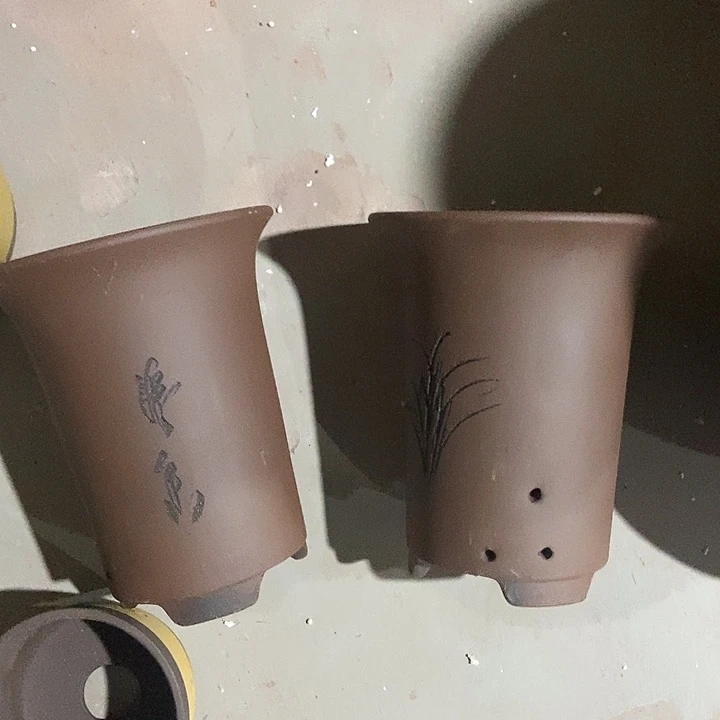 20花盆花盆花盆花盆花盆花盆