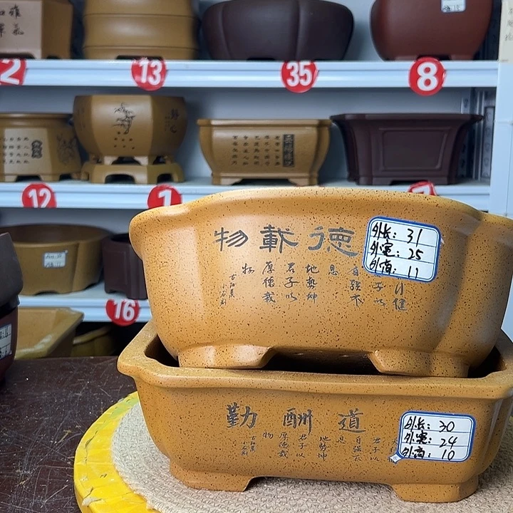 紫砂花盆你在一起