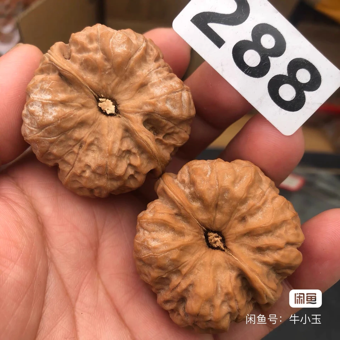 红皮蛤蟆头白狮子头麻文玩核桃男士女生白茬粗筋招财天然手盘野生