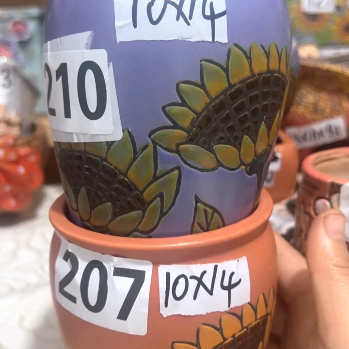 多肉花盆满15包邮