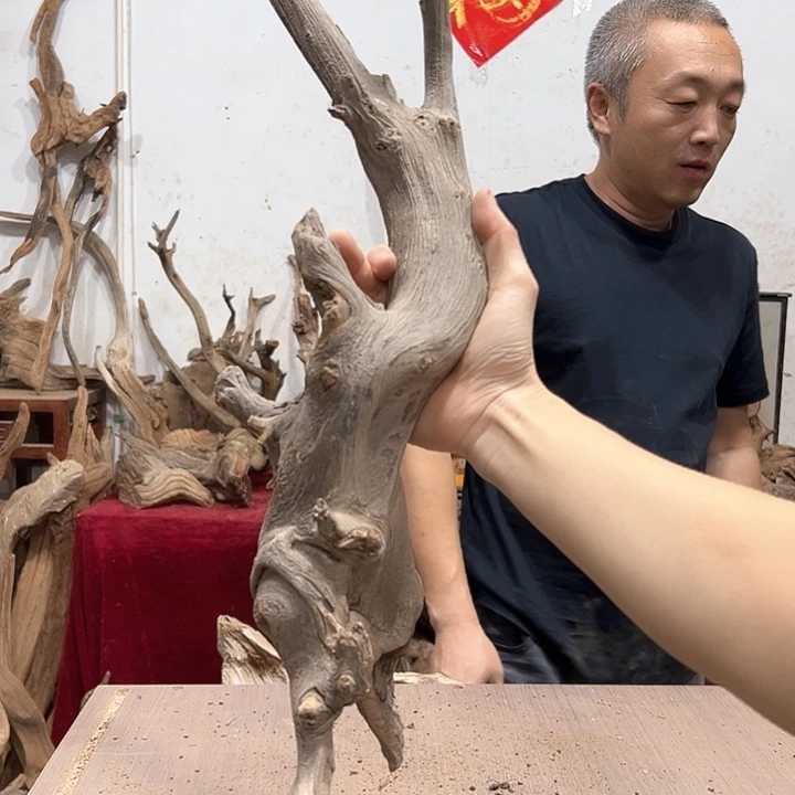 柏木柏**韵我们的生活是以自己为中心