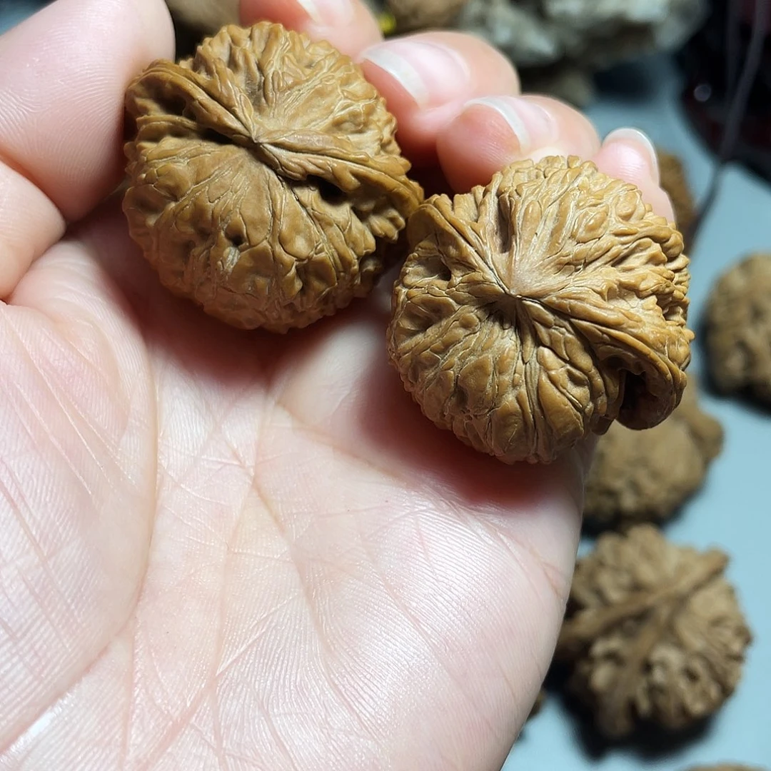核桃手串/手链精品密纹飞蛇
