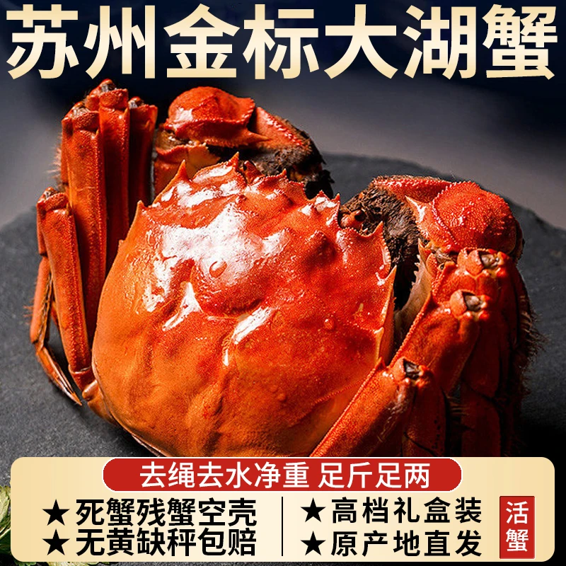 【活蟹】精挑大闸蟹公6.0-5.7两母4.0-3.7两共6/10只装鲜活冷链HE6