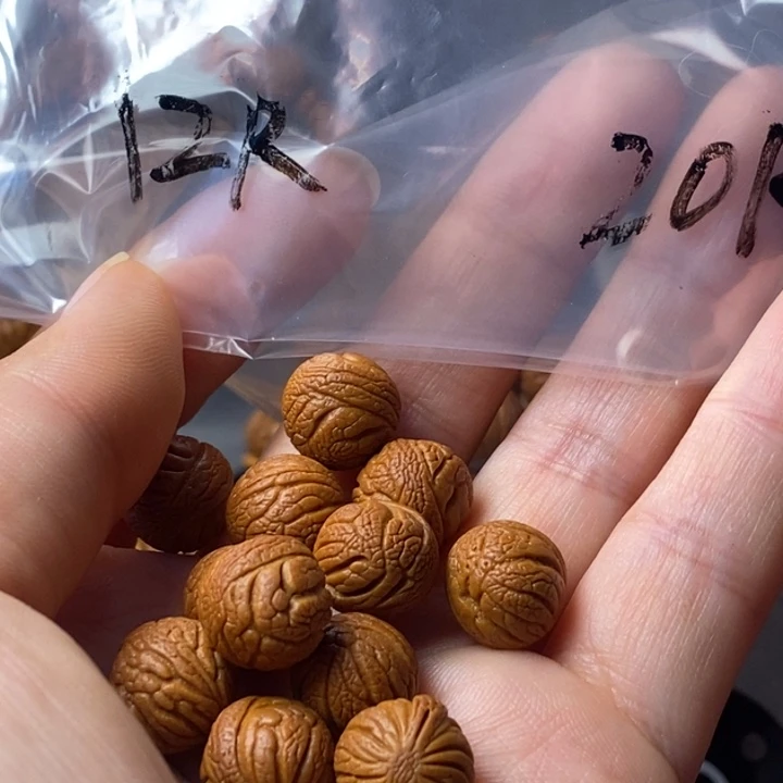 手串文玩核桃秦岭野生龙纹桃核12