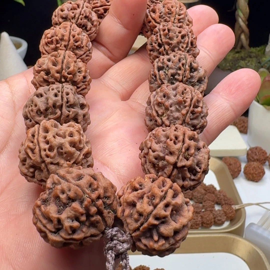 青***、金刚菩提手串粗筋蜂窝双龙