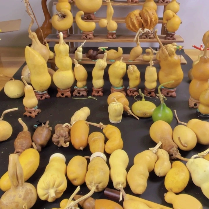 苍**地三度三度高温橙色天气晴朗