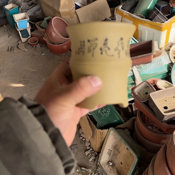 这一期太有意思咯好棒好可爱呀太喜欢这两期