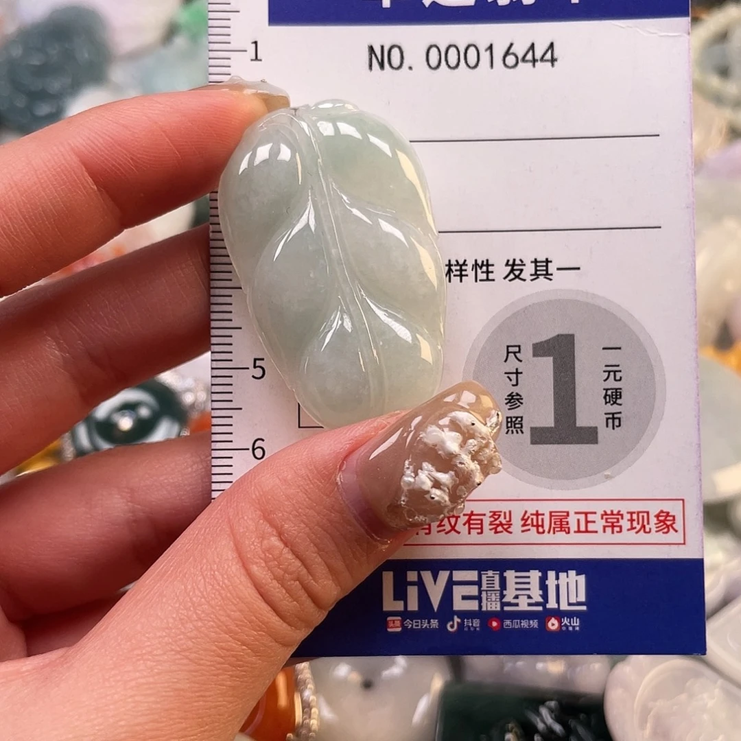 翡翠未镶嵌颈饰1644