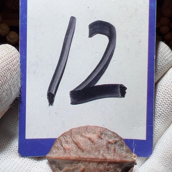 手串桃核大*异形树叶核桃12