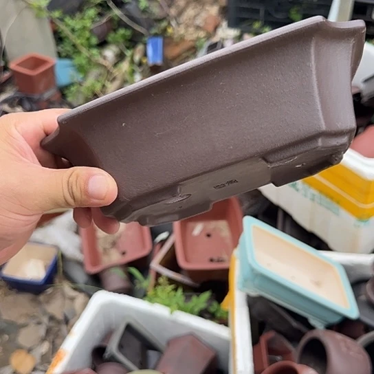 在这里我们都有很多话需要对我们