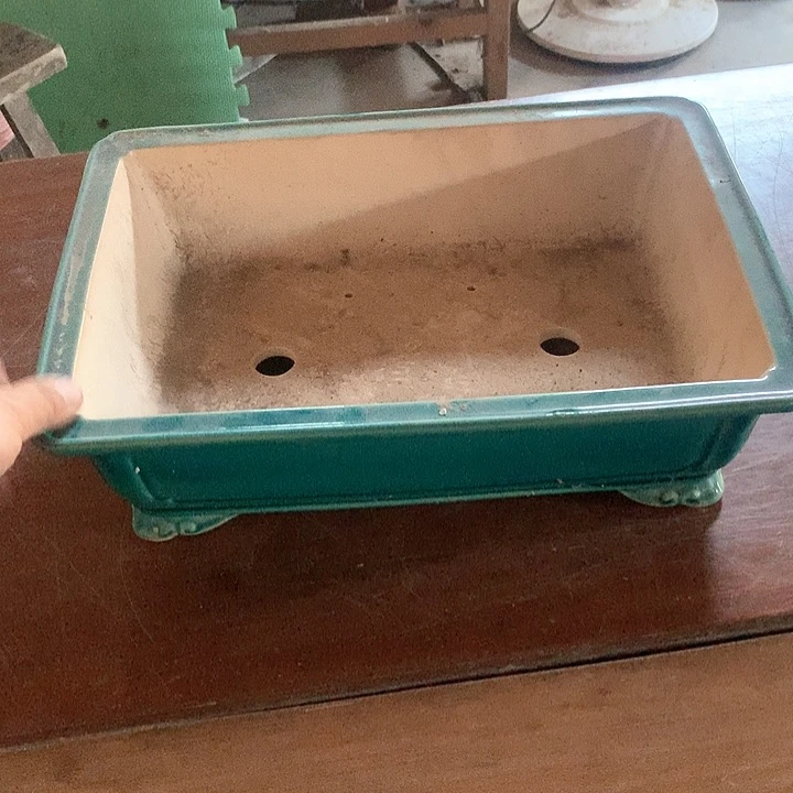 紫砂优秀青年的生活习惯