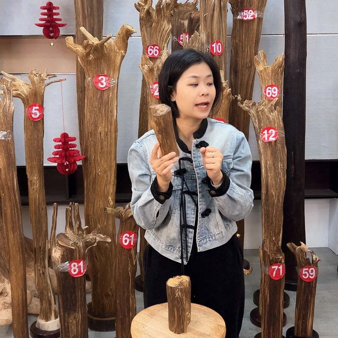 沉香摆件海南沉香摆件