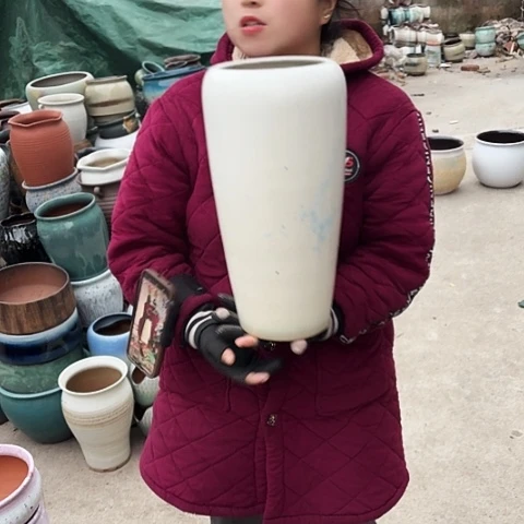 16口38高瑕疵盆子。