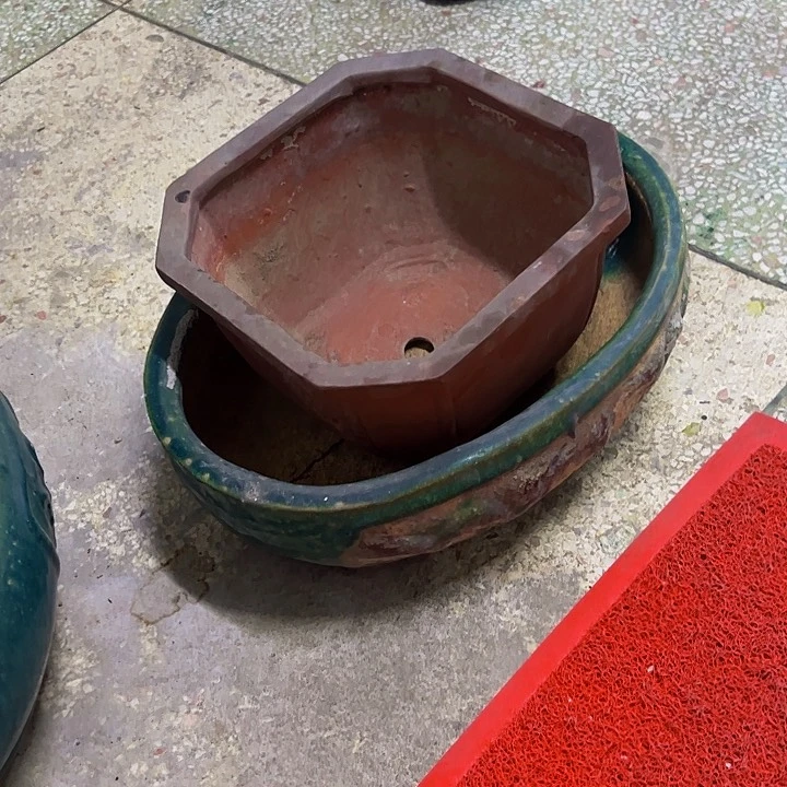 阿*。。。。。。。。。。。。。。。。。。