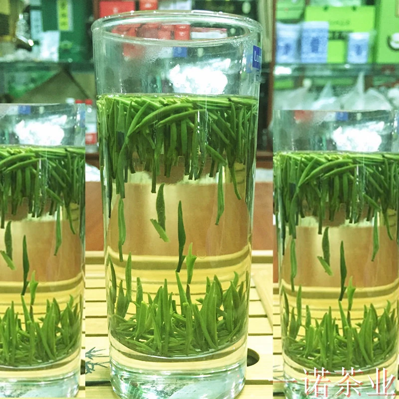 芽茶保康松针2025年新茶湖北保康茶叶襄阳高香绿茶雀舌