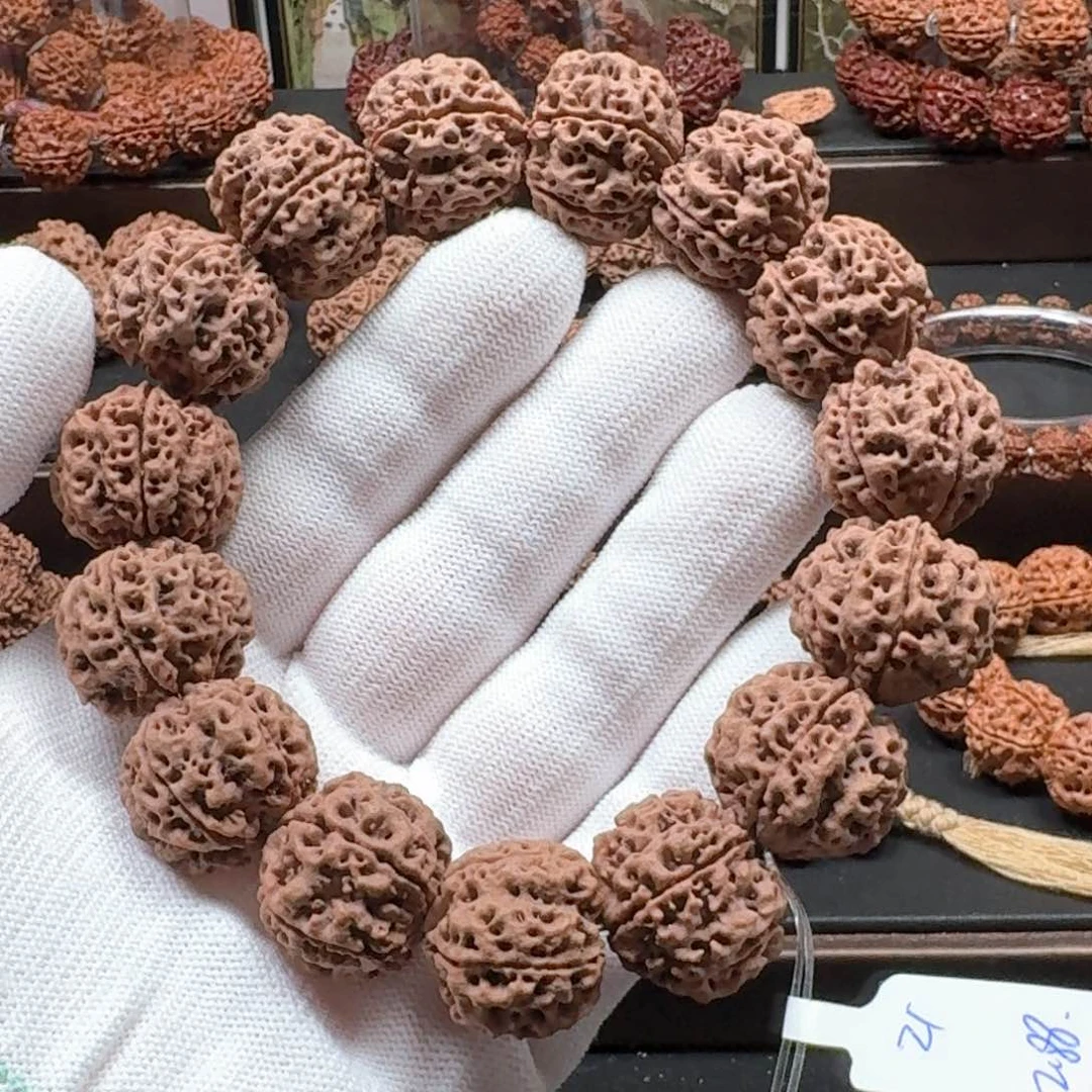 金刚菩提手串21不药堂宠粉福利体验串（每人限购一次）