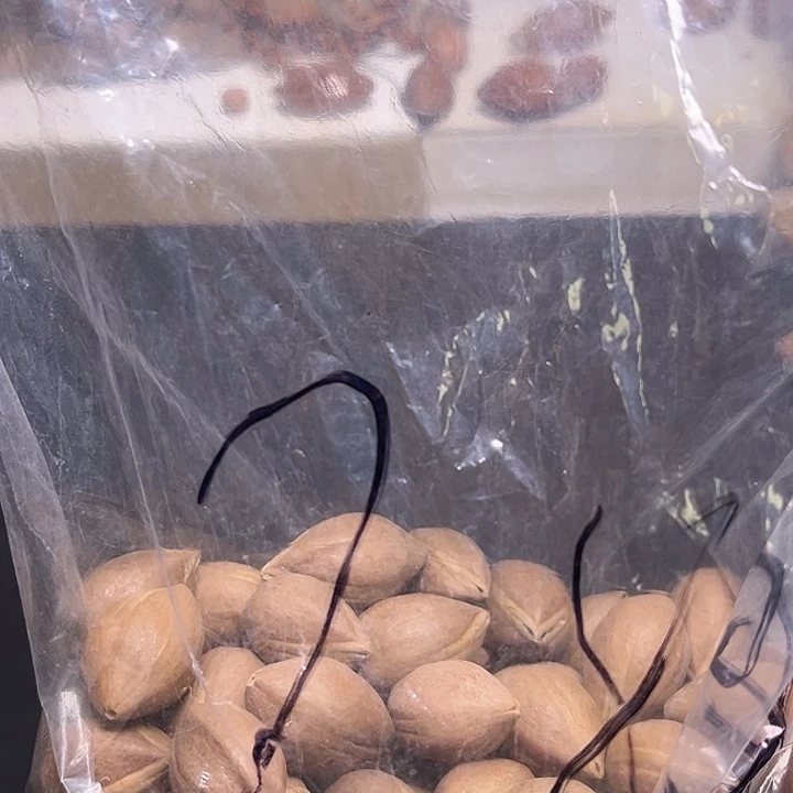 玉***子手串/手链橄榄核1111