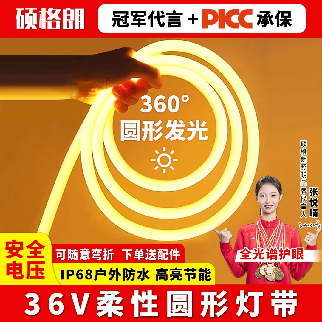 低压36v圆形硅胶灯带led超亮建筑工地隧道工程亮化户外防水灯条