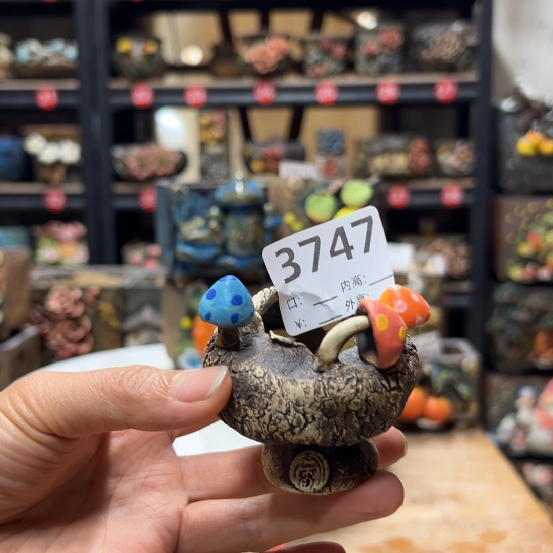 ?****3747号，雨田花器