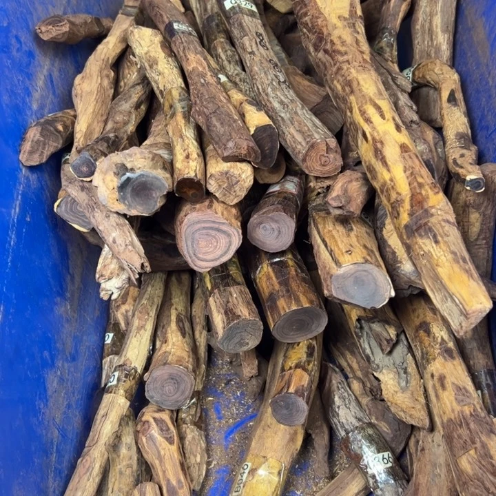 黄花梨/降香黄檀海黄老料