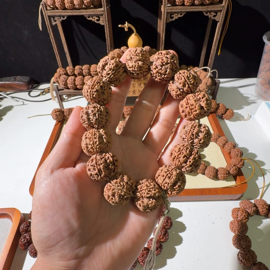 手串金刚菩提24尺寸原生态