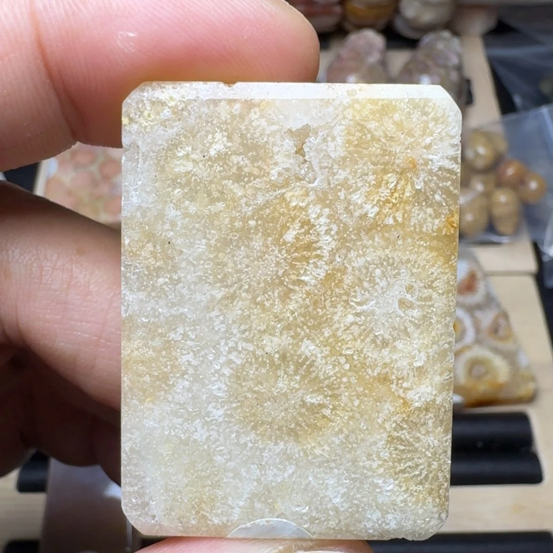 硅化珊瑚（珊瑚玉）未镶嵌纯天然色有机玉石保真色