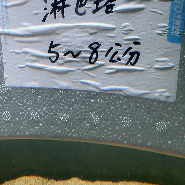 雷龙林巴塔雷龙11111