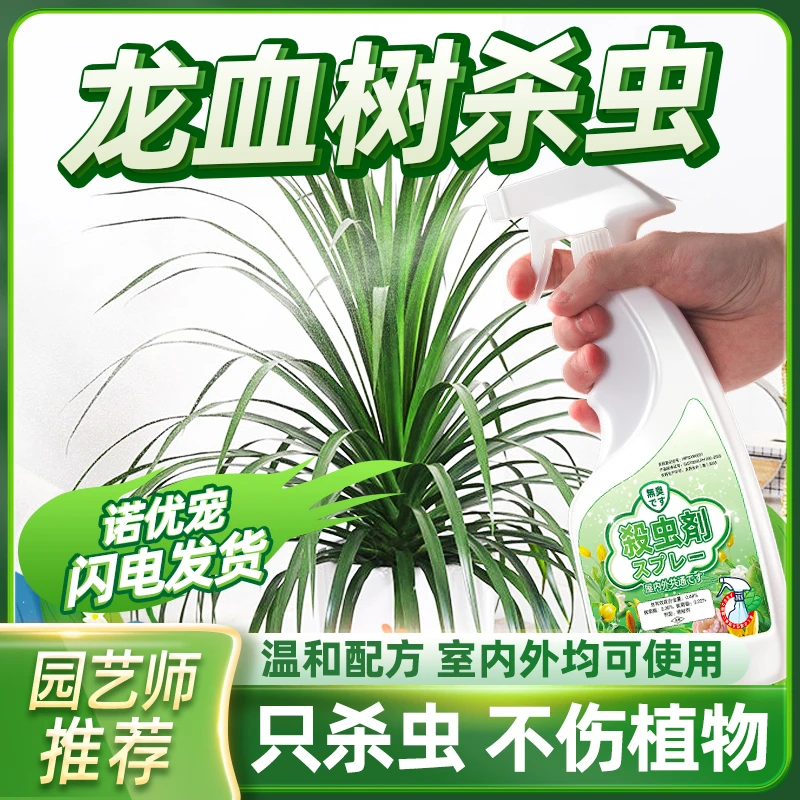 龙血树杀虫剂龙须树专用打虫药虫子驱虫除虫防虫长虫蚂蚁虫药喷药