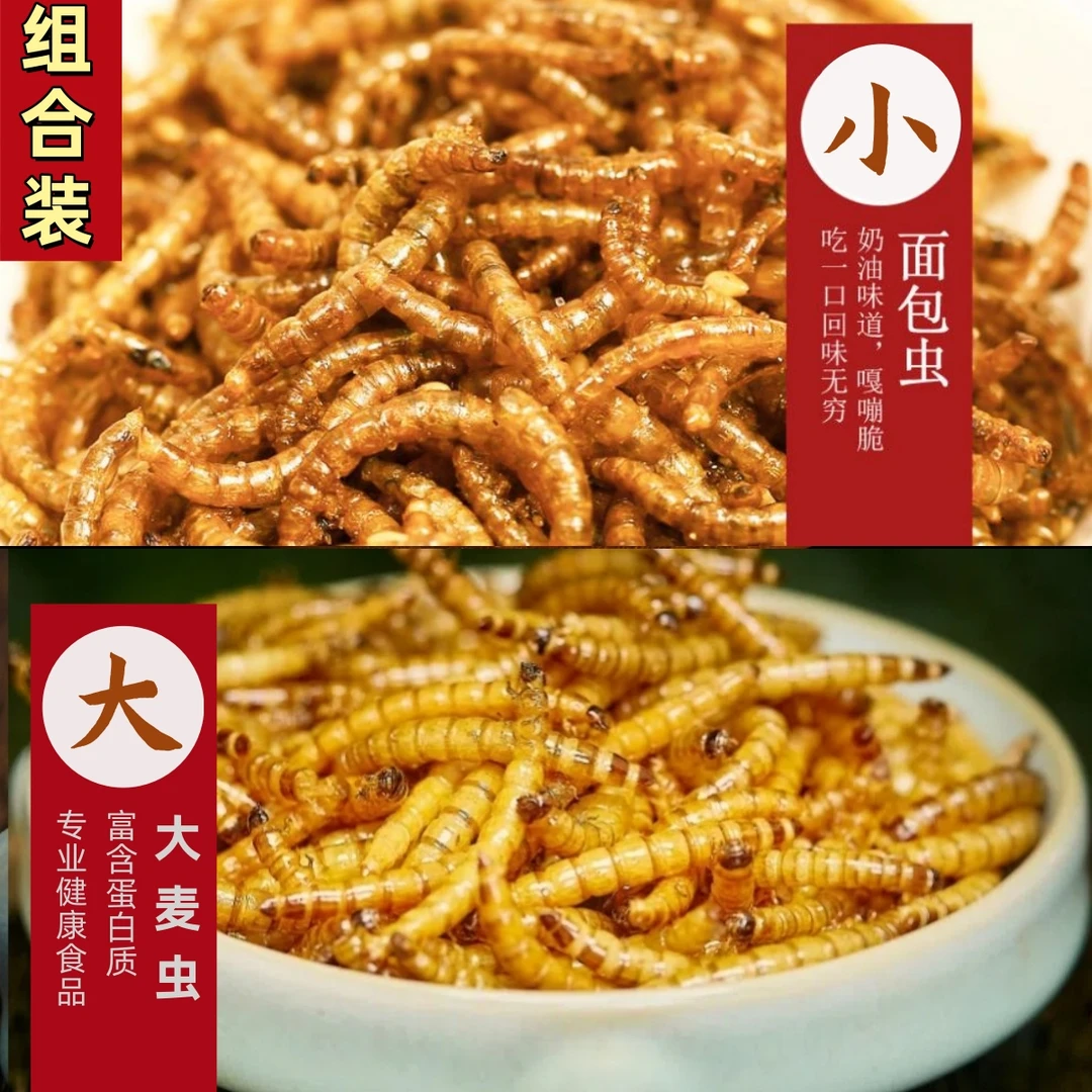 香酥面包虫大麦虫组合油炸昆虫618钜惠新品现做现发网红同款零食