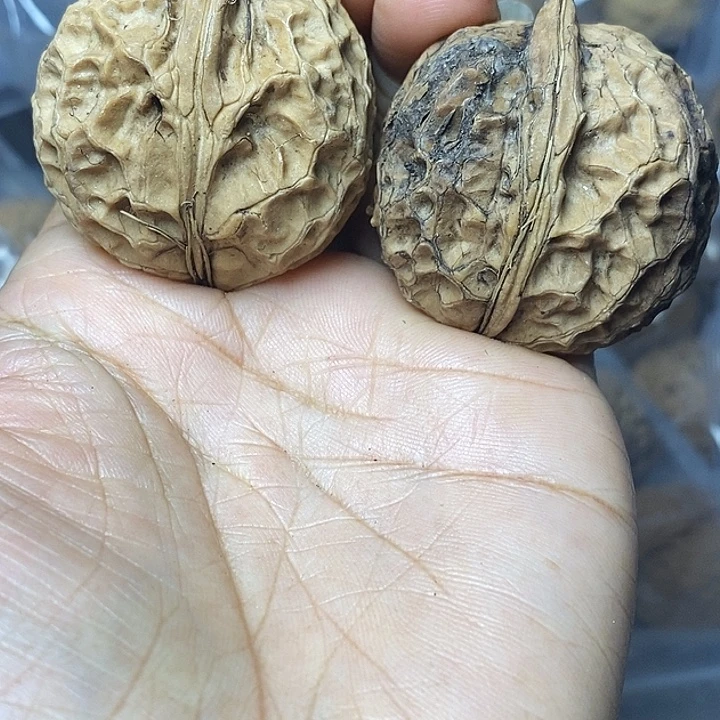把件文玩核桃云南铁核桃79