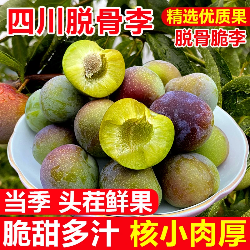 四川脱骨脆李子新鲜水果李子现货甜茵红李半边红当季3/5斤包邮