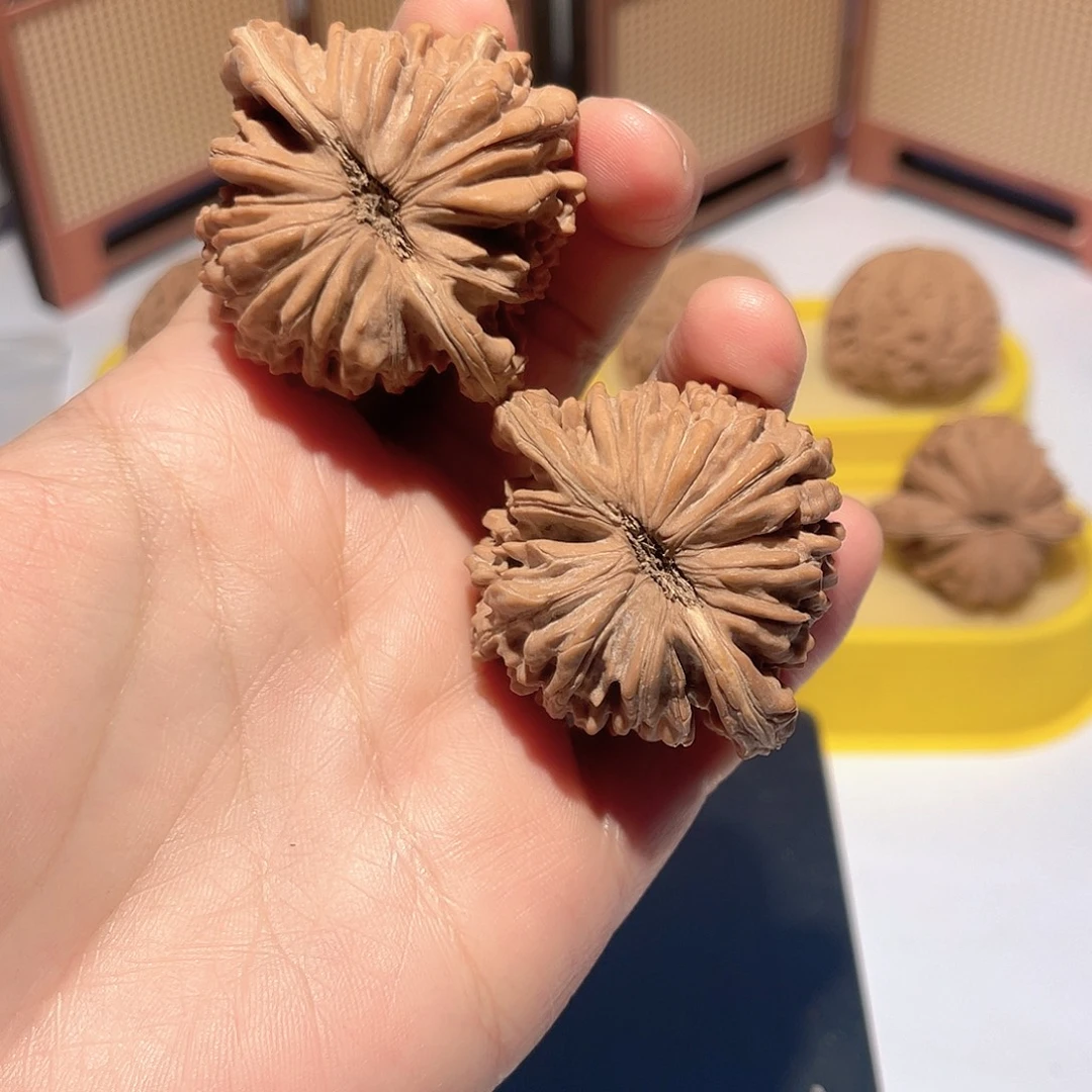 核桃46全品四座楼