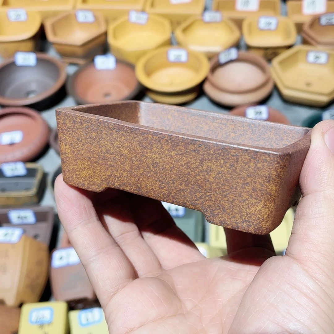 紫砂小盆8.8*6.4*2