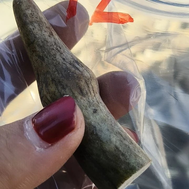 9***0鹿角鹿角鹿角鹿角鹿角鹿角