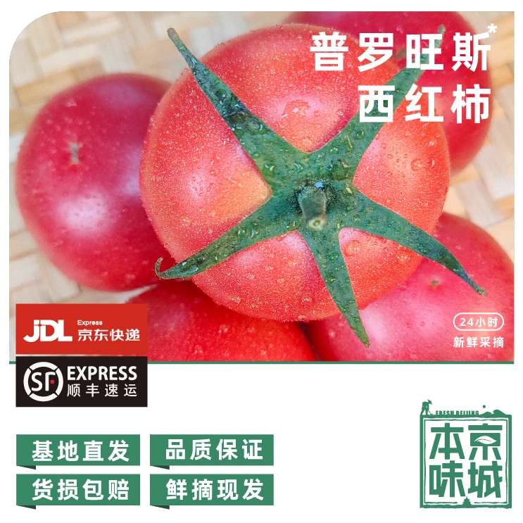 房【绿控系列】450g普罗旺斯西红柿 炒菜出沙 味道香浓普罗旺斯北京市
