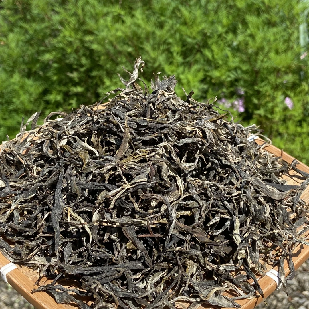 【公益助农】25年春稀有品种甜种古树老曼峨100g/袋（送同款茶样）