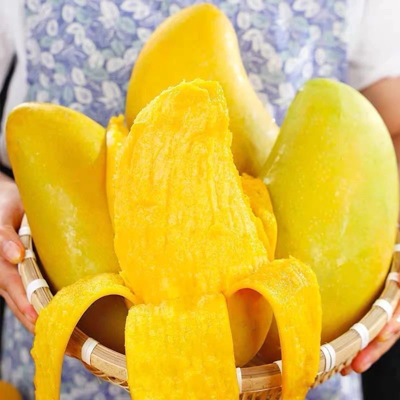 海南金煌芒4.5-8斤新鲜应季水果芒果香甜肉厚催熟放软后食用