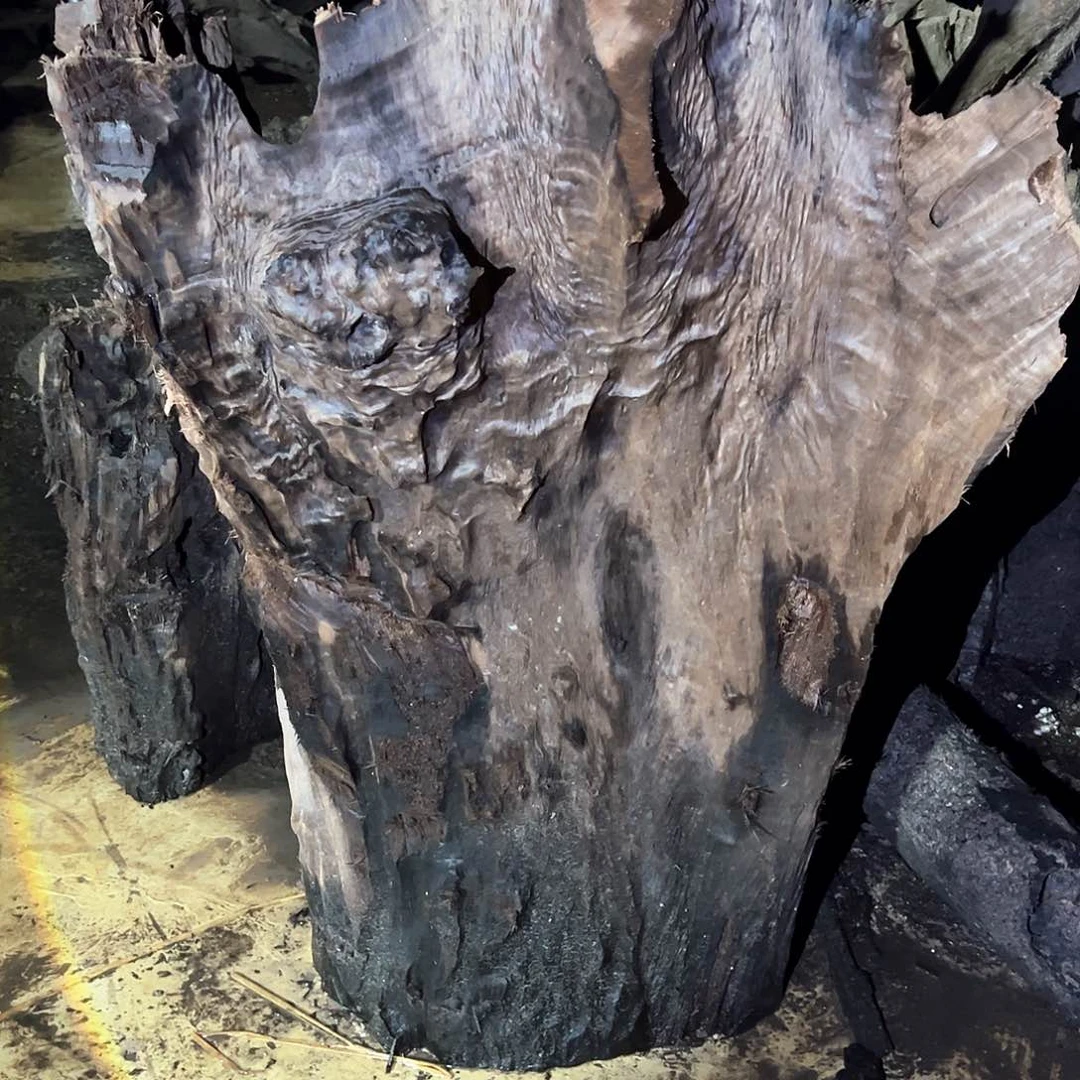 百****生金丝楠阴沉木的一个小山村里