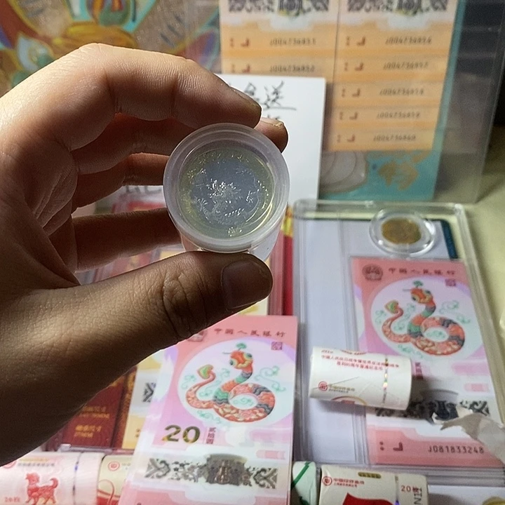 其他普通金属龙年纪念币两枚