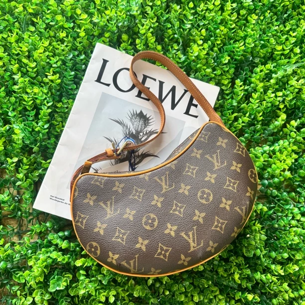 95新 LouisVuitton/路易威登 老花小号豌豆单肩包